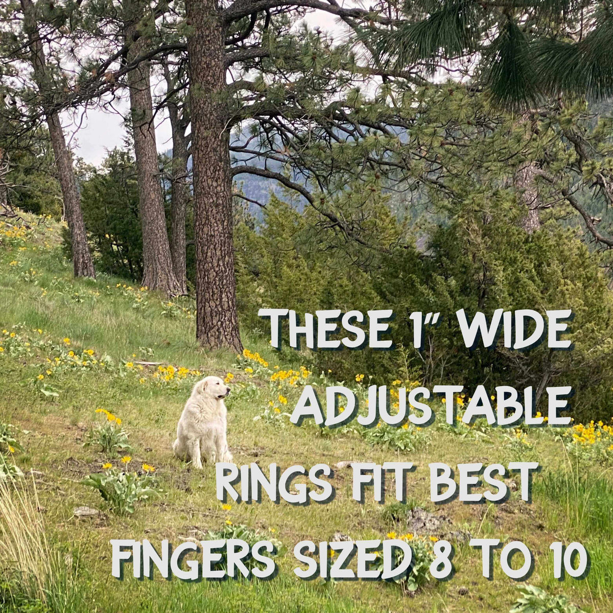 Adjustable 1-inch wide cowgirl rings suitable for fingers sized 8 to 10, set in a scenic outdoor landscape.