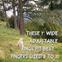 Adjustable 1-inch wide cowgirl rings suitable for fingers sized 8 to 10, set in a scenic outdoor landscape.