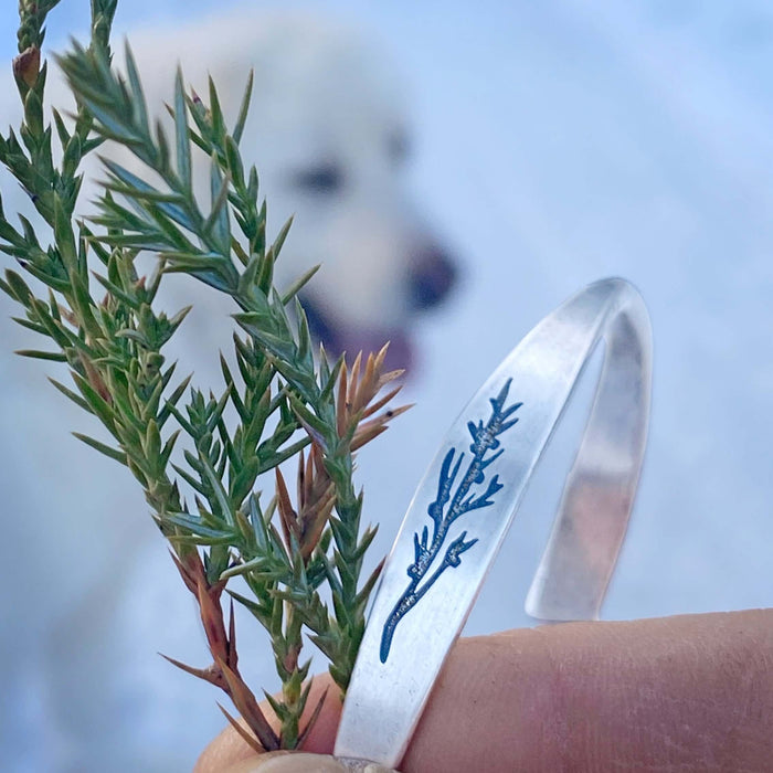 Juniper Signet Cuff Bracelet featuring an etched juniper twig design, held with a pine branch.