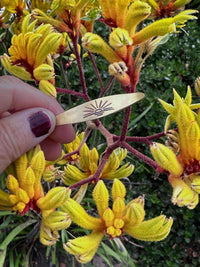 Hand holding the Sunrise Signet Cuff against vibrant yellow flowers, showcasing its design and finish.