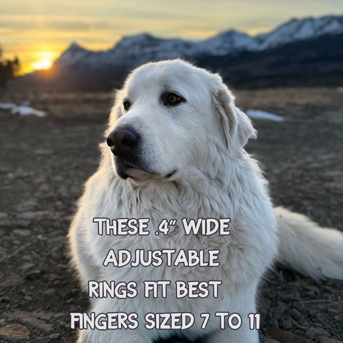 Great Pyrenees dog by mountain landscape with text about 4" wide adjustable rings fitting fingers size 7 to 11.