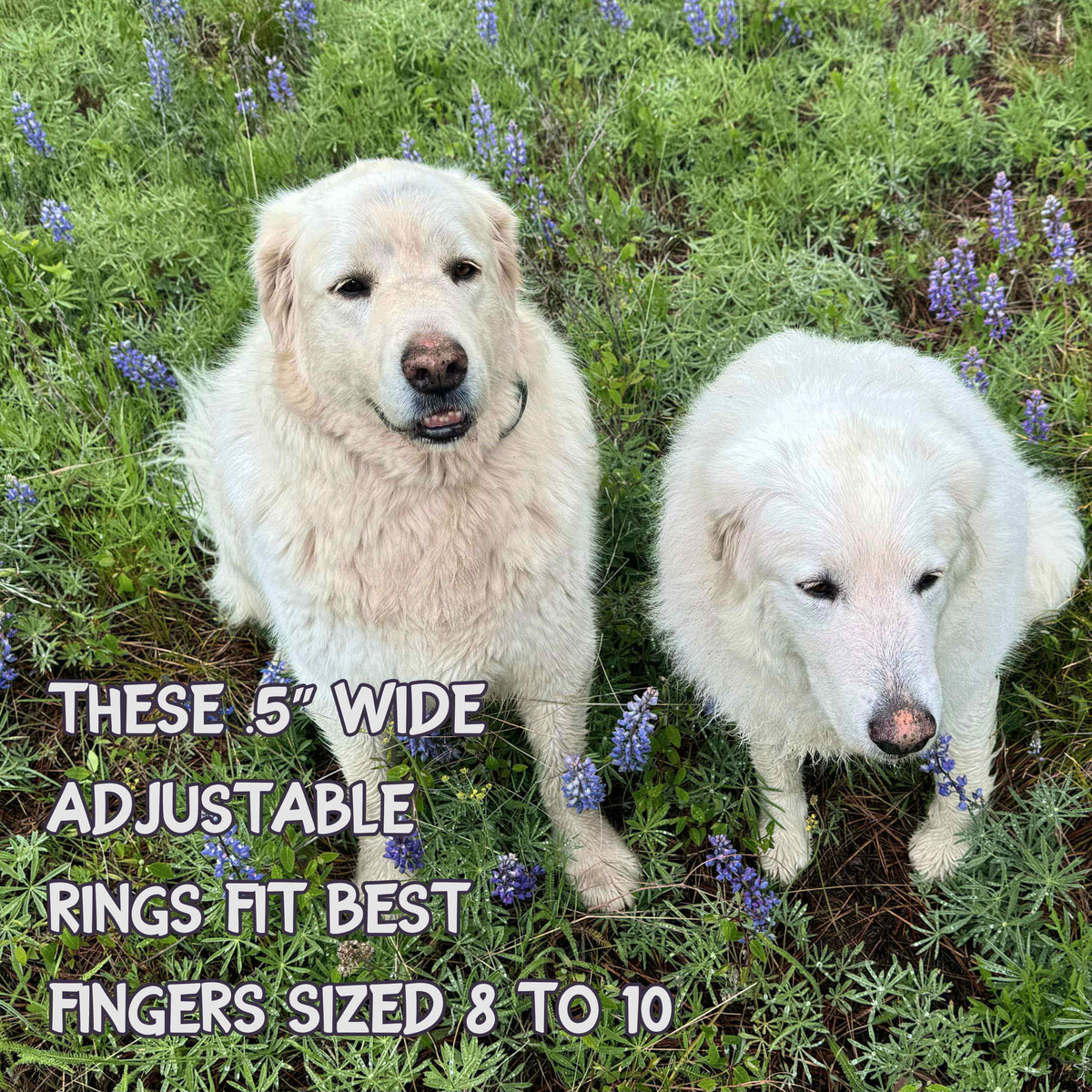 Two fluffy white dogs sitting in a field, with text about adjustable rings fitting fingers sized 8 to 10.