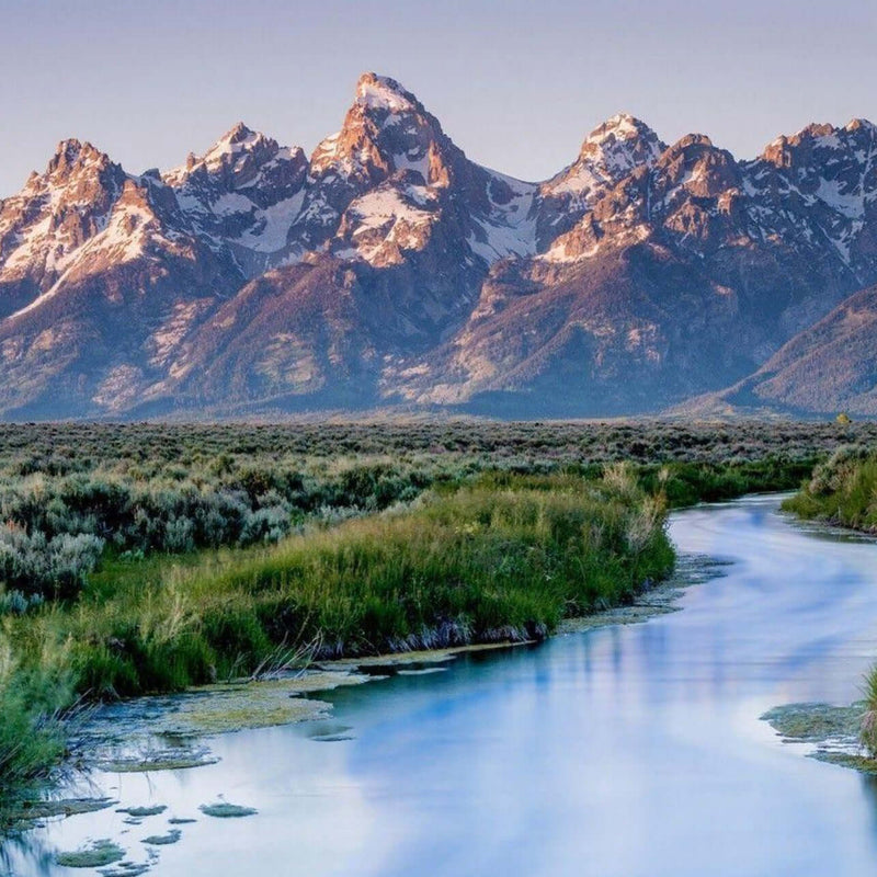 GRAND TETON - Daphne Lorna