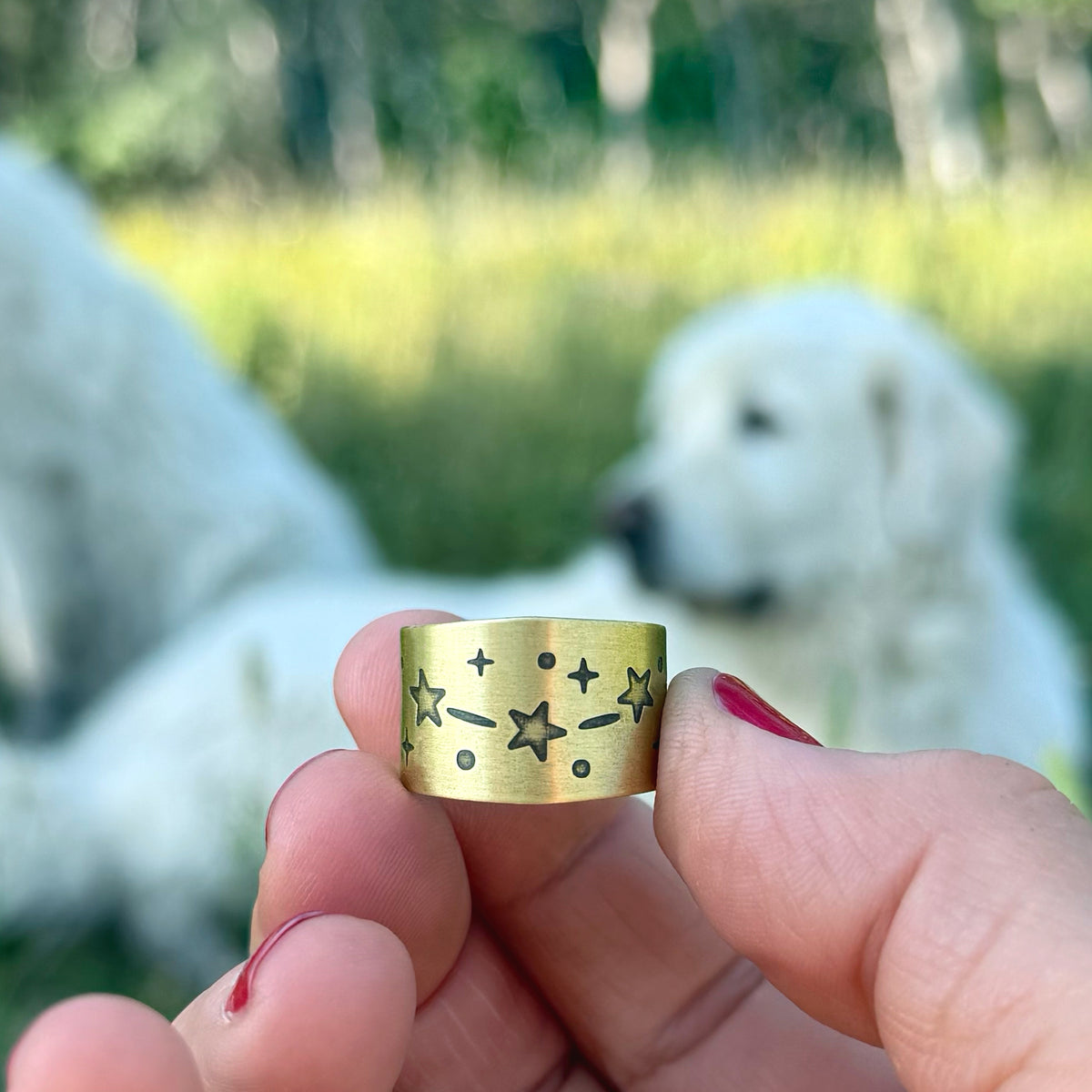 Orion's Belt Adjustable Ring