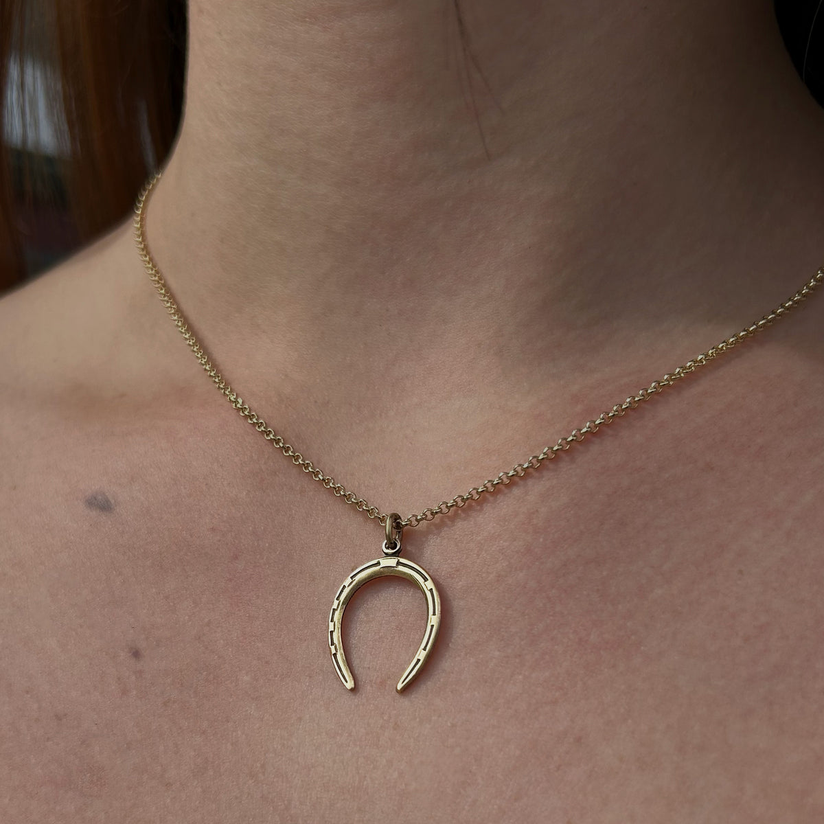 Horseshoe Necklace