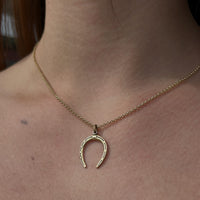 Horseshoe Necklace
