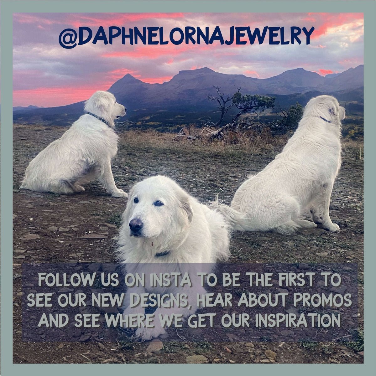 Three white dogs sitting on a scenic mountain landscape with text promoting Instagram updates from @DAPHNELORNAJEWELRY.