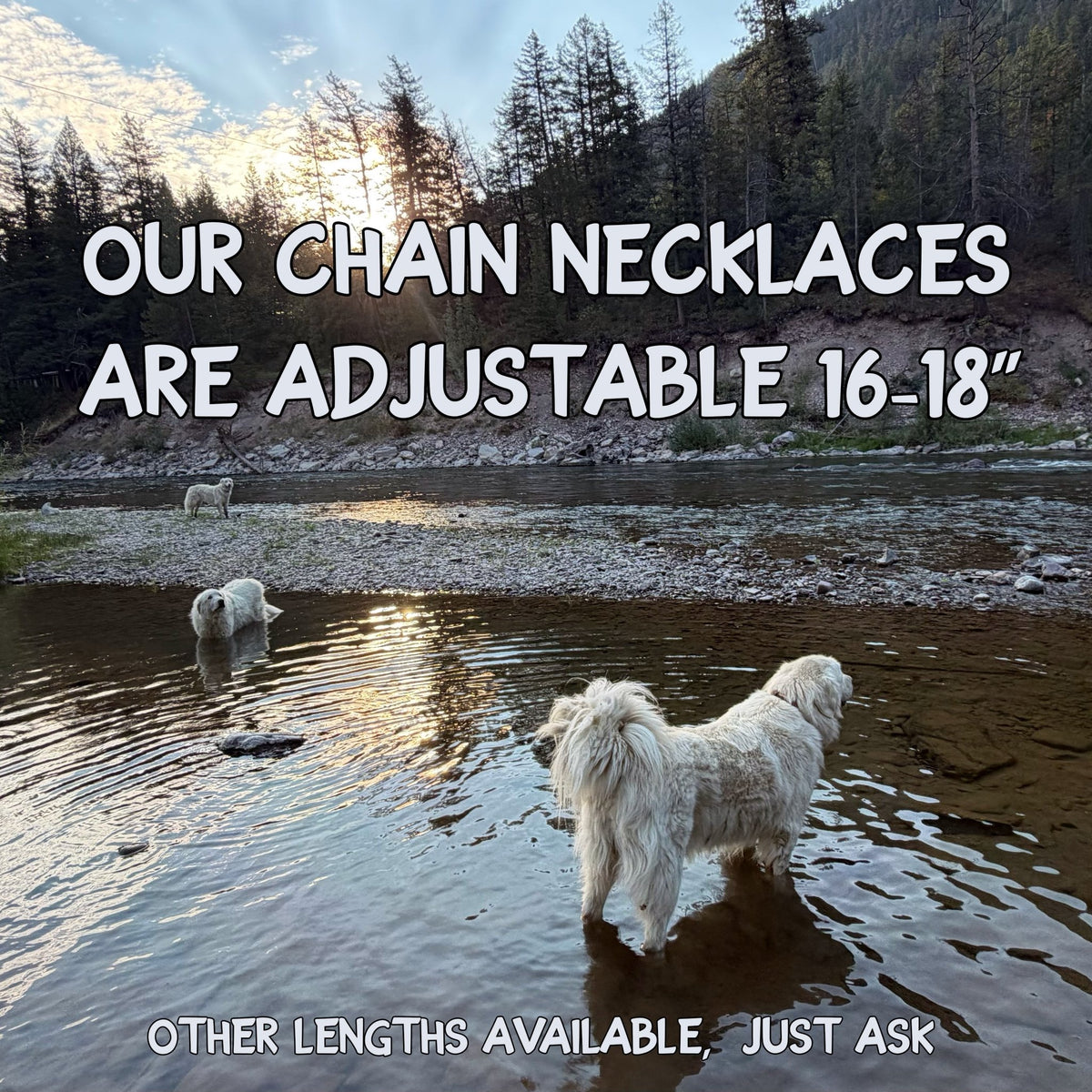 Three dogs wading in river with text about chain length