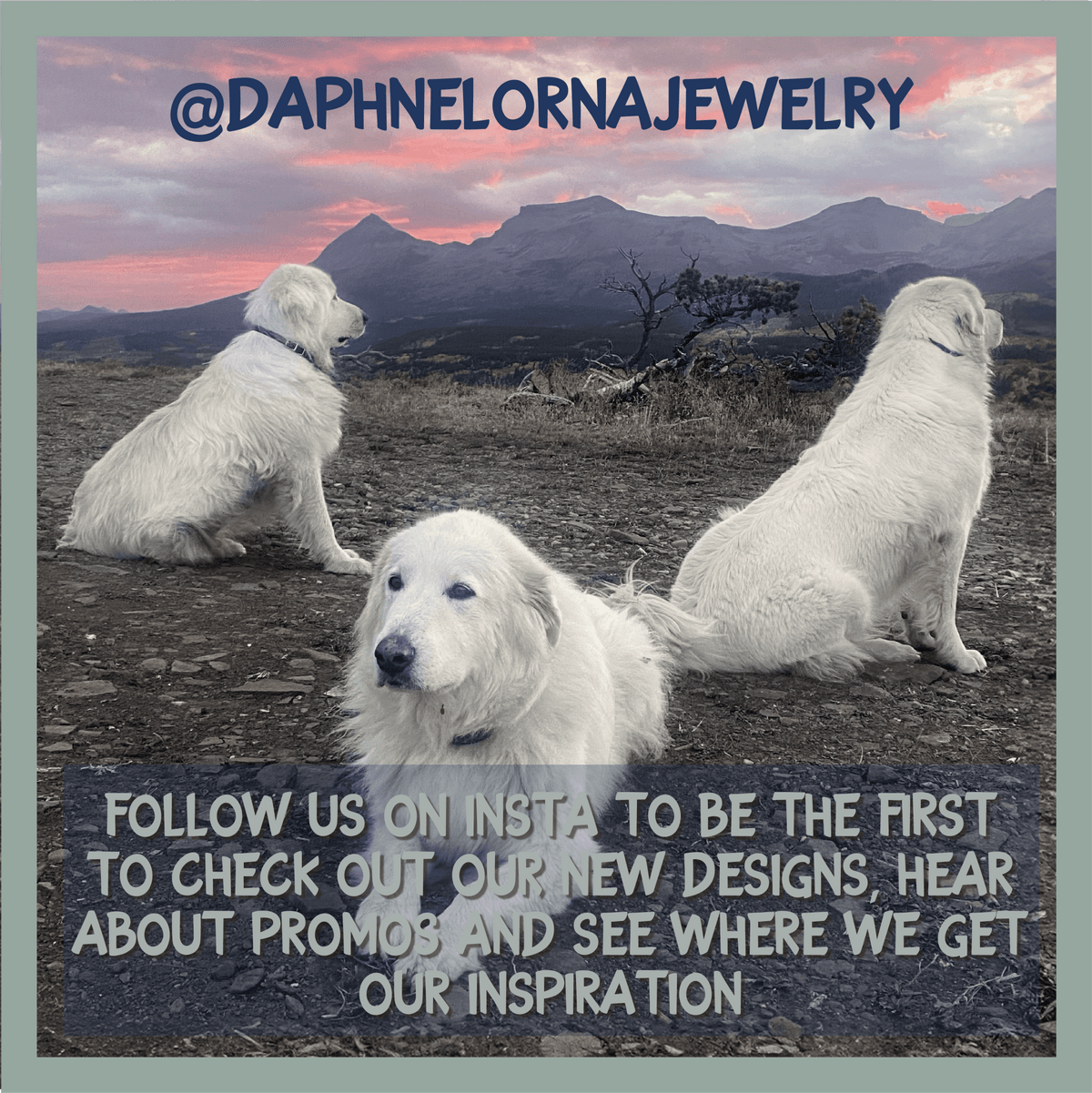 Three Great Pyrenees dogs with mountains in background, text says Follow us on Instagram