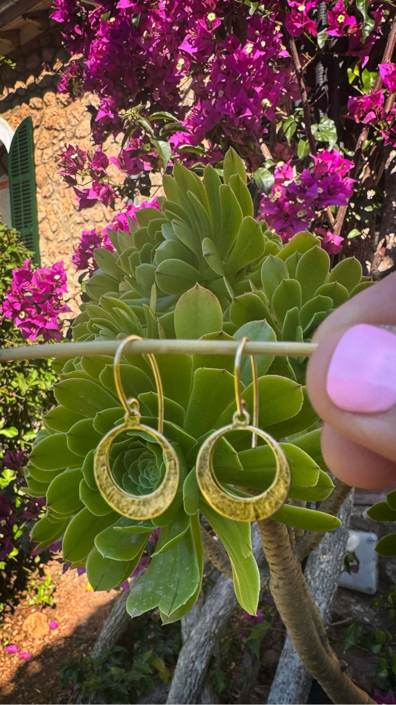 Mini Discs Earrings showcasing hand hammered antique brass design against vibrant foliage and flowers.