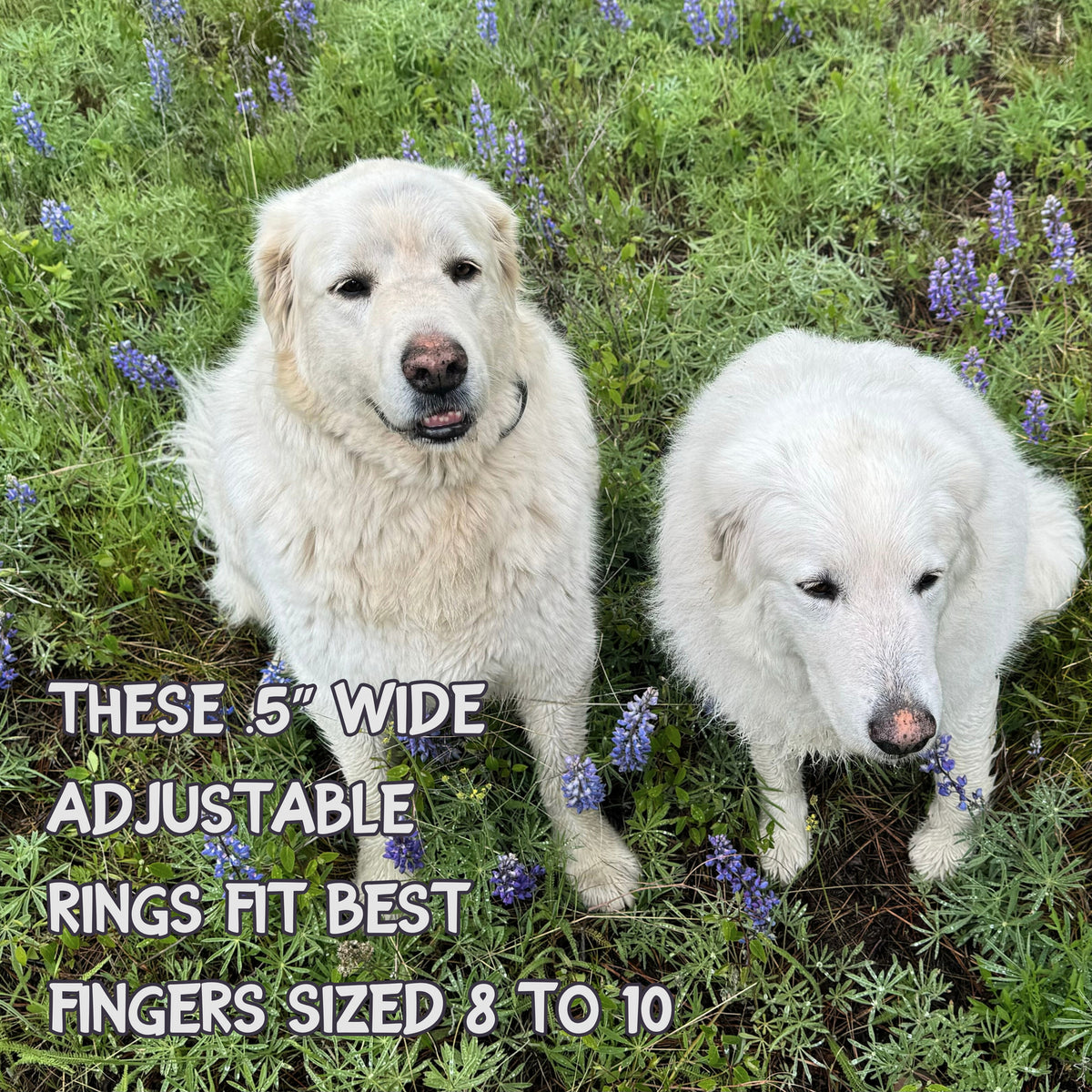Orion's Belt Adjustable Ring