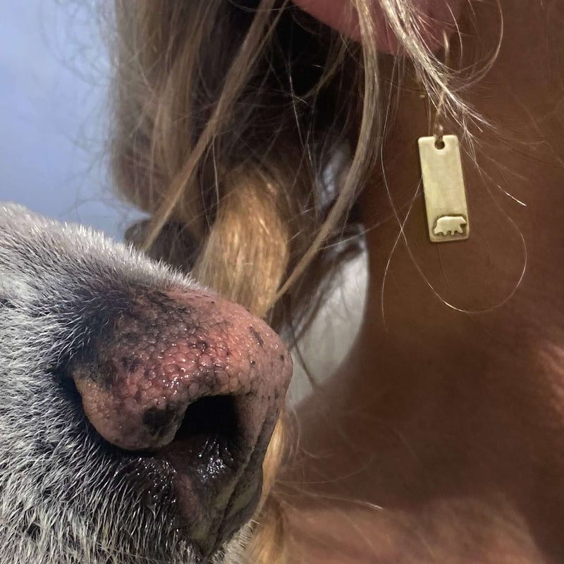 Bear Boy Earrings shown alongside a close-up of a bear's nose, highlighting the elegant design in antique brass.